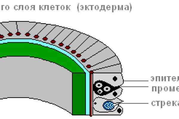 Сайты продаж наркотиков