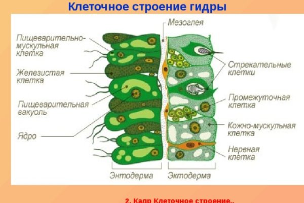 Кракен даркнет ссылка на сайт